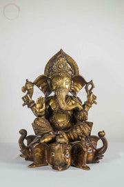 GANESHA 5