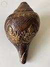 BRASS CONCH 3A